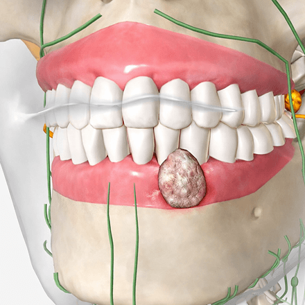 Dental X-rays and Exams Icon
